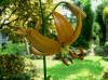Lilium martagon "Brocade"